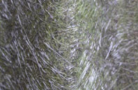 Flitton fibreglass roof work